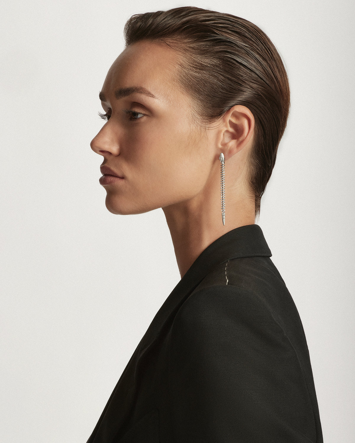 Snake Diamond Encrusted Earrings